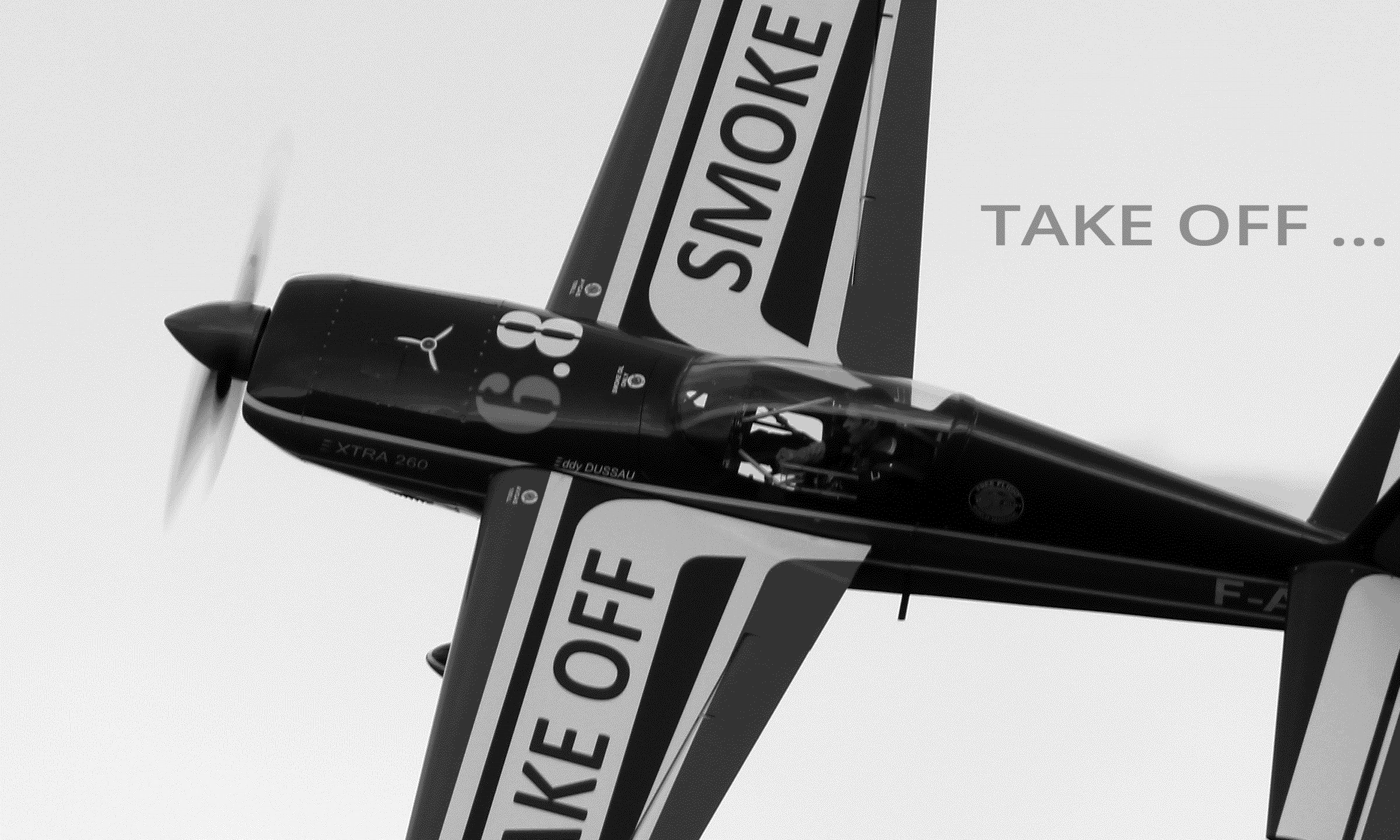 FREEFLIGHT